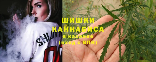 круглые Абаза