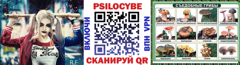 Псилоцибиновые грибы GOLDEN TEACHER  продажа наркотиков  Нефтегорск 